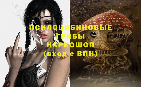 молекула духа Алексин