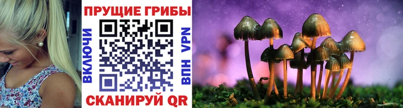 Галлюциногенные грибы ЛСД Томмот
